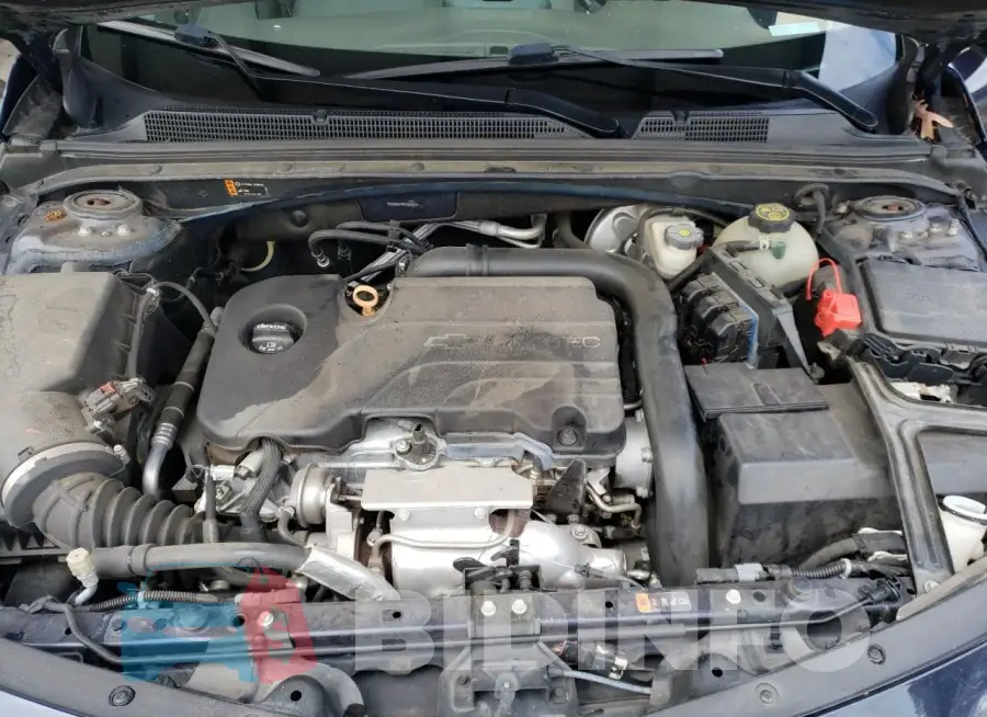 1G1ZB5ST9HF182787 Photo# 11