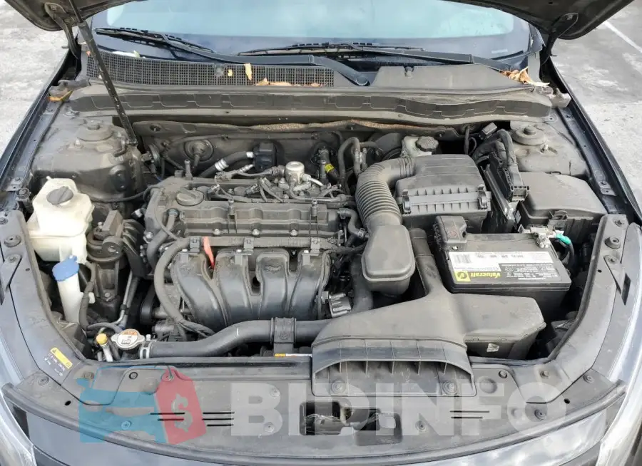 KNAGM4A73F5619643 Photo# 11