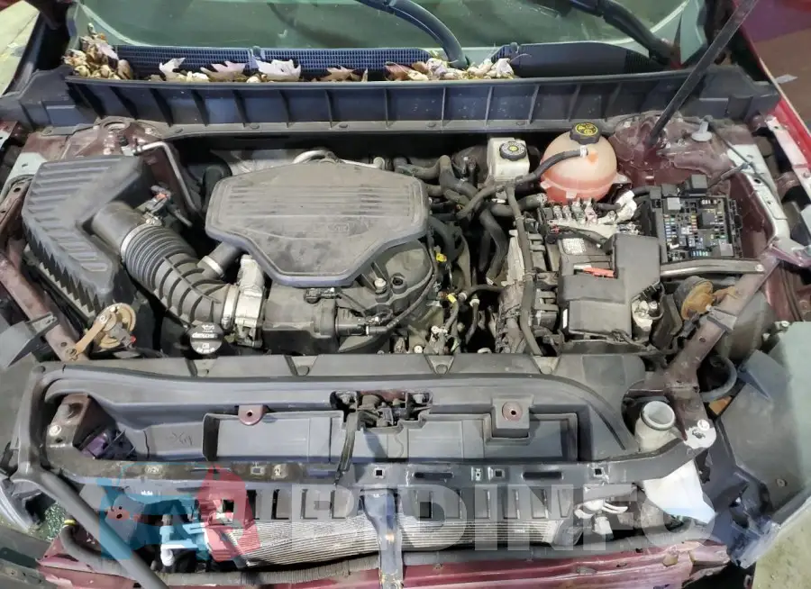 1GKKNMLS2HZ125706 Photo# 12