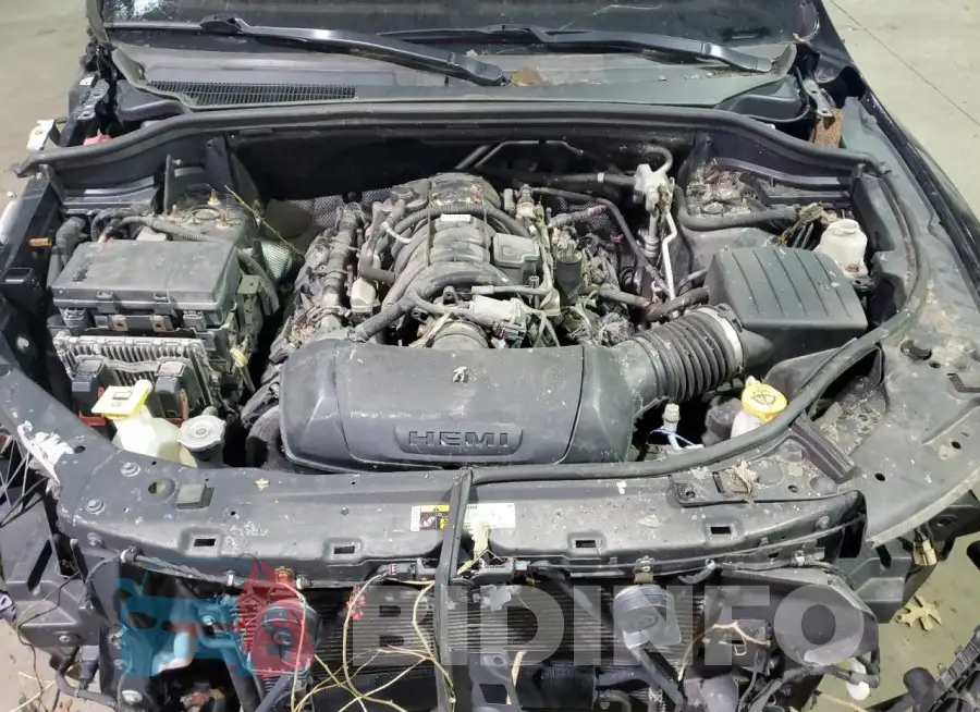 1C4SDJCT5FC782134 Photo# 12