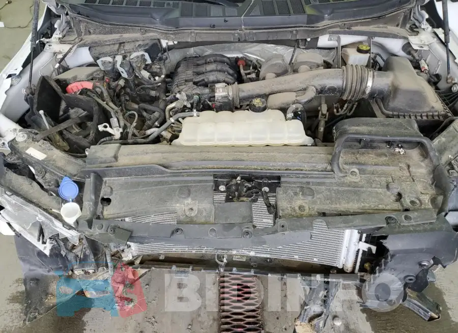 1FTEW1EB9MFB31452 Photo# 11