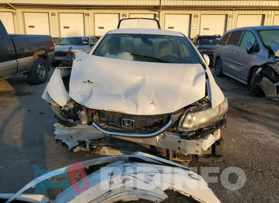 19XFB2F50FE704508 Photo# 5