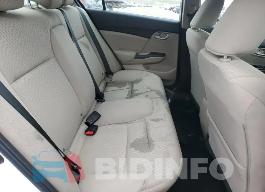 19XFB2F56FE251933 Photo# 10