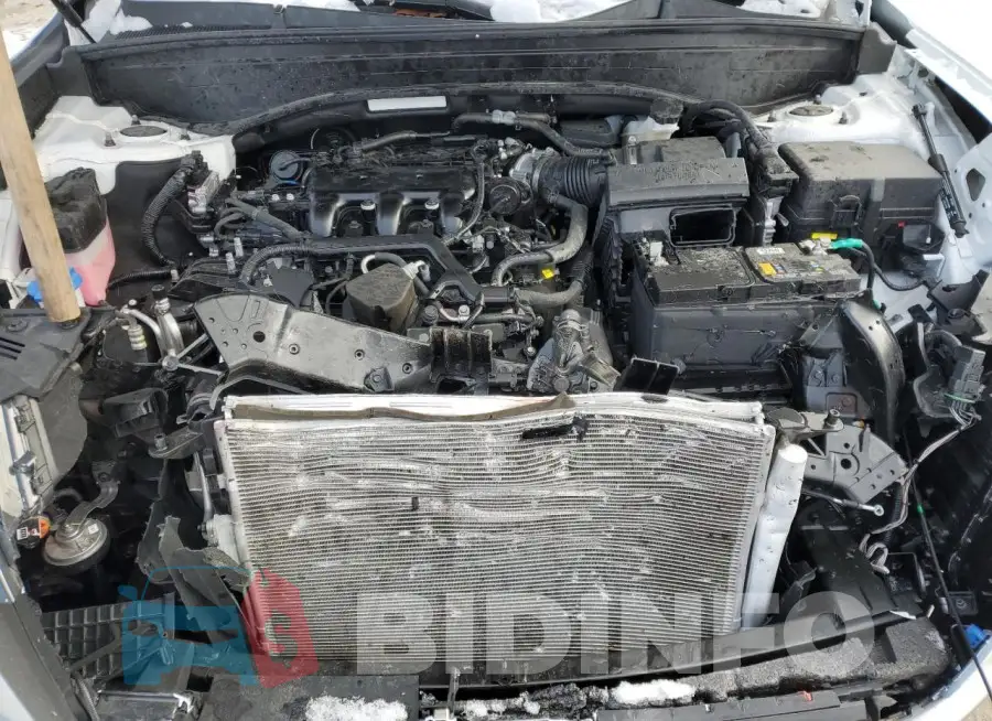 KM8R4DGE6PU610570 Photo# 12