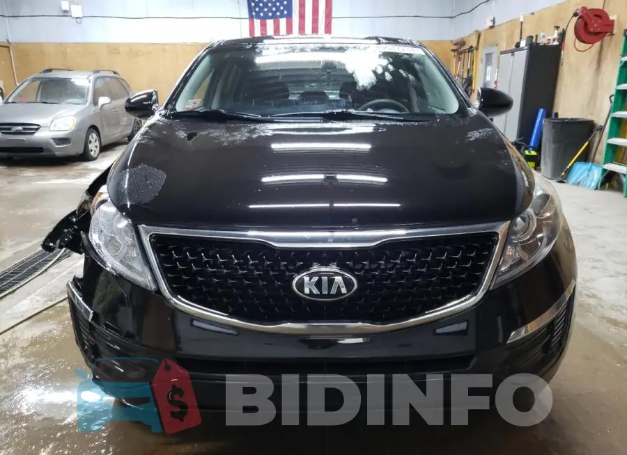 KNDPBCAC2G7863564 Photo# 5