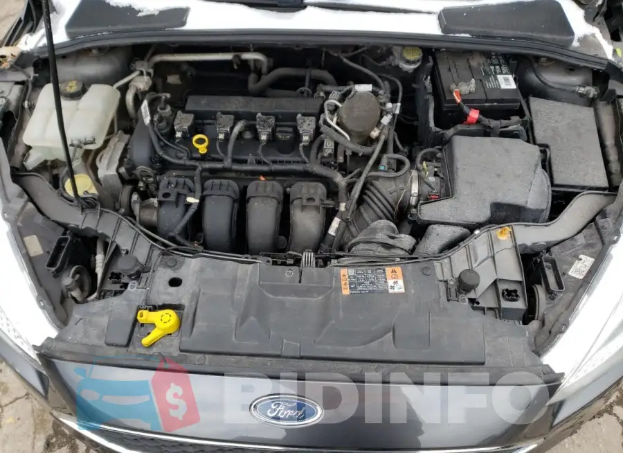 1FADP3F25FL295388 Photo# 11