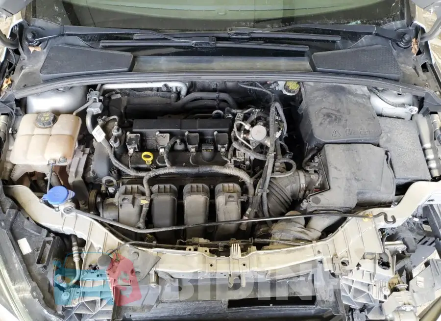 1FADP3F26GL399017 Photo# 11