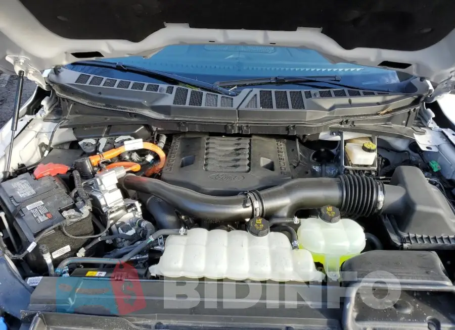 1FTFW1ED8PFA14830 Photo# 11