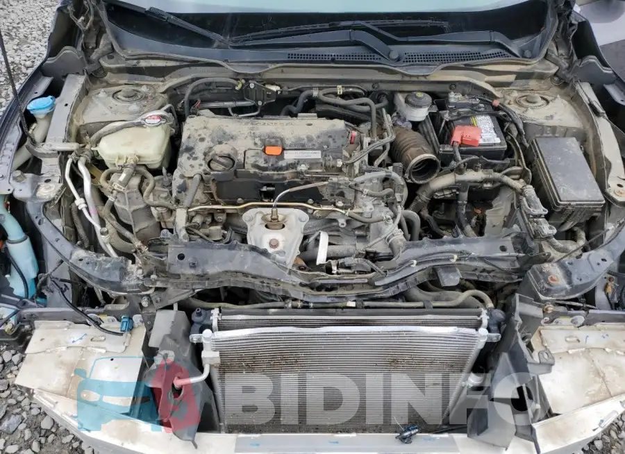 19XFC2F55GE017443 Photo# 11
