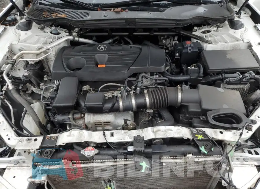 19UUB5F54MA011516 Photo# 11