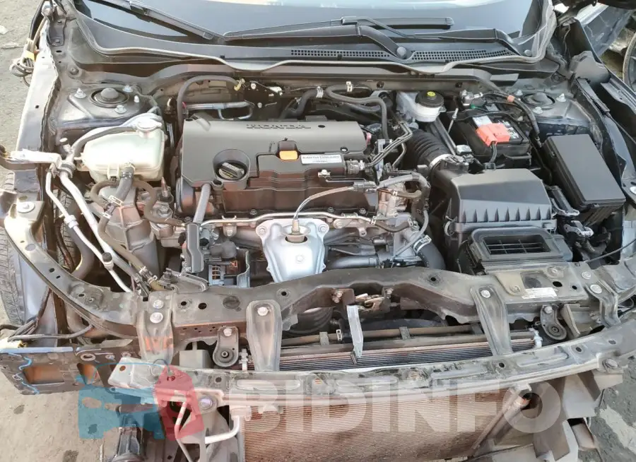 19XFC2F64LE204756 Photo# 11