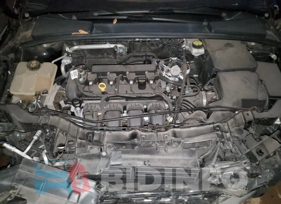1FADP3F24JL207374 Photo# 11