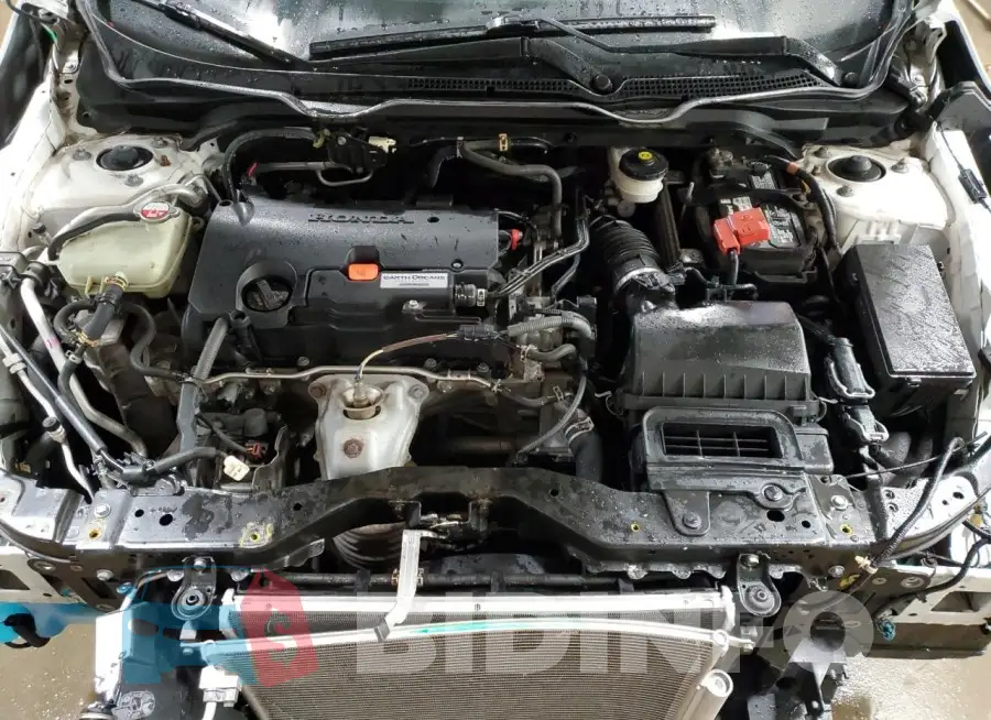 19XFC2F76GE062442 Photo# 11