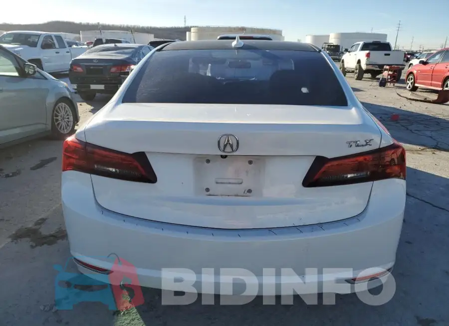 19UUB1F35FA028562 Photo# 6