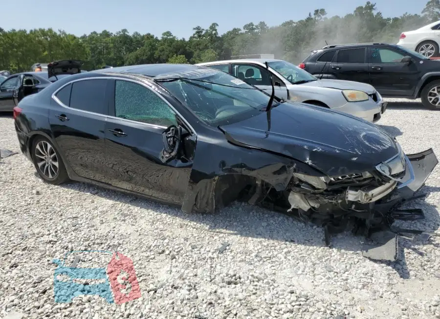 19UUB1F36FA011754 Photo# 4