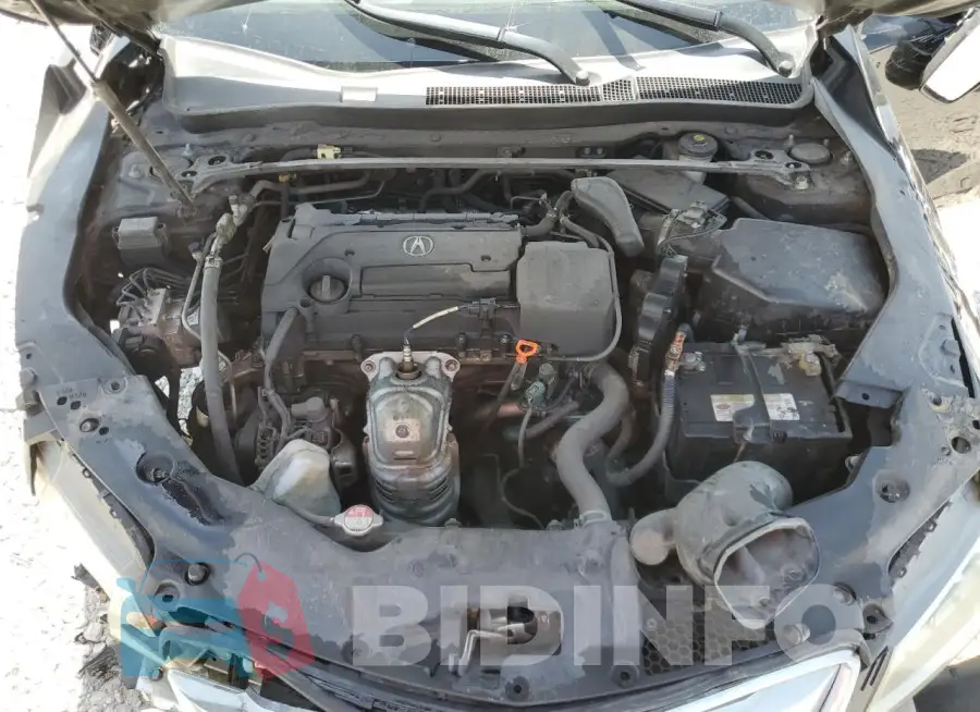 19UUB1F36FA011754 Photo# 11