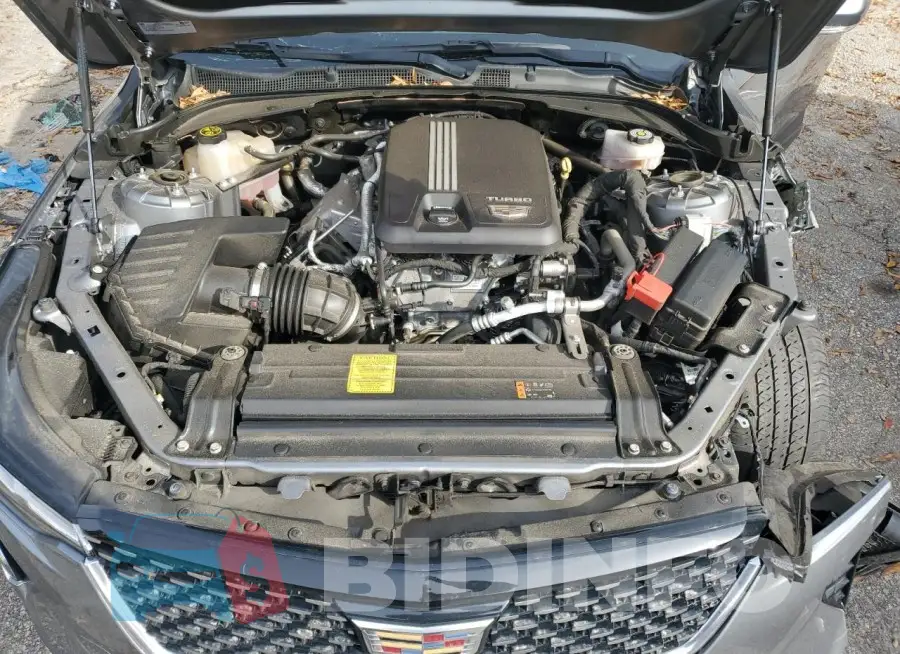 1G6DB5RK8M0134163 Photo# 11