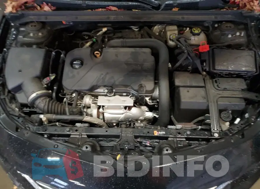 1G1ZD5ST1JF272368 Photo# 11