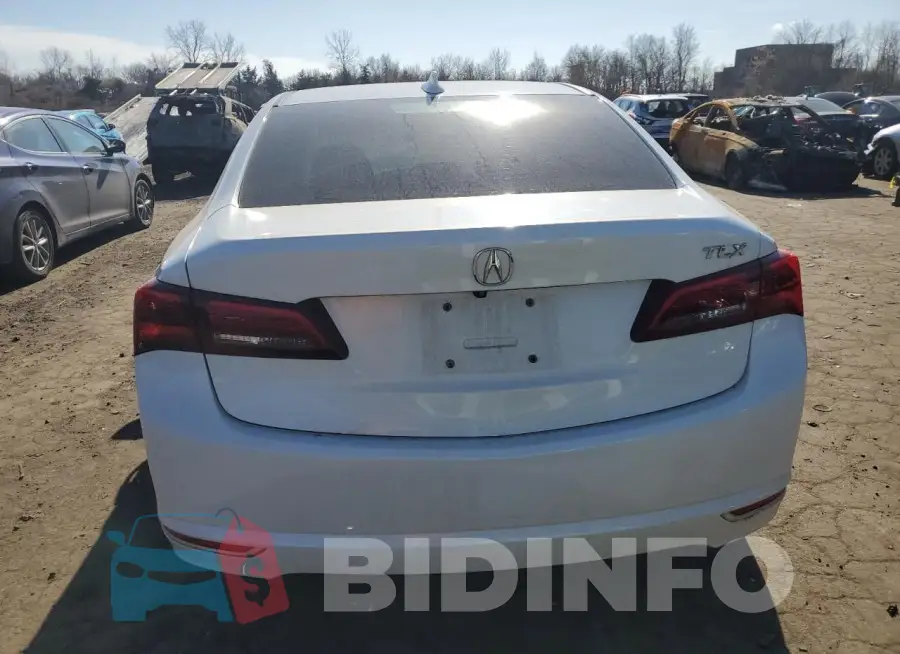 19UUB1F33GA006643 Photo# 6