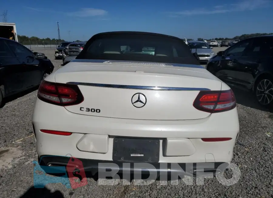 WDDWK8DB1KF829387 Photo# 6