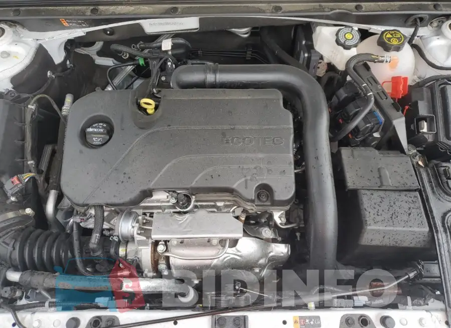1G1ZD5ST6PF252724 Photo# 11