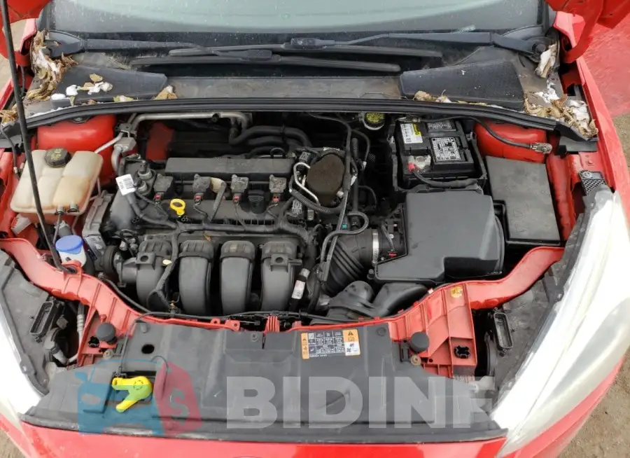 1FADP3K28FL223185 Photo# 11