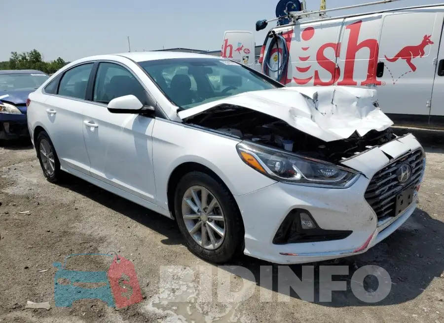 5NPE24AF6KH766752 Photo# 4