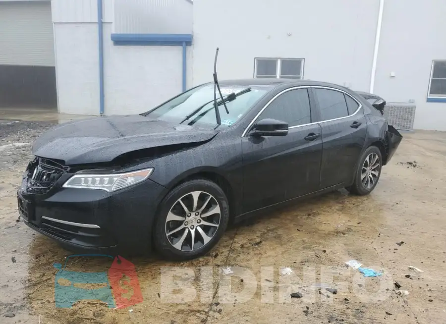 19UUB1F38FA015384 Photo# 1