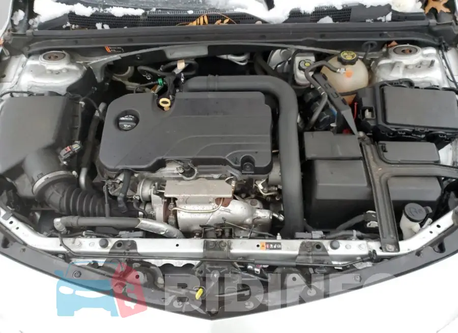 1G1ZD5ST3JF259024 Photo# 11