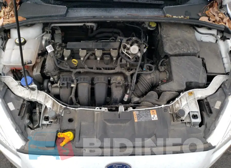 1FADP3K25GL388502 Photo# 11