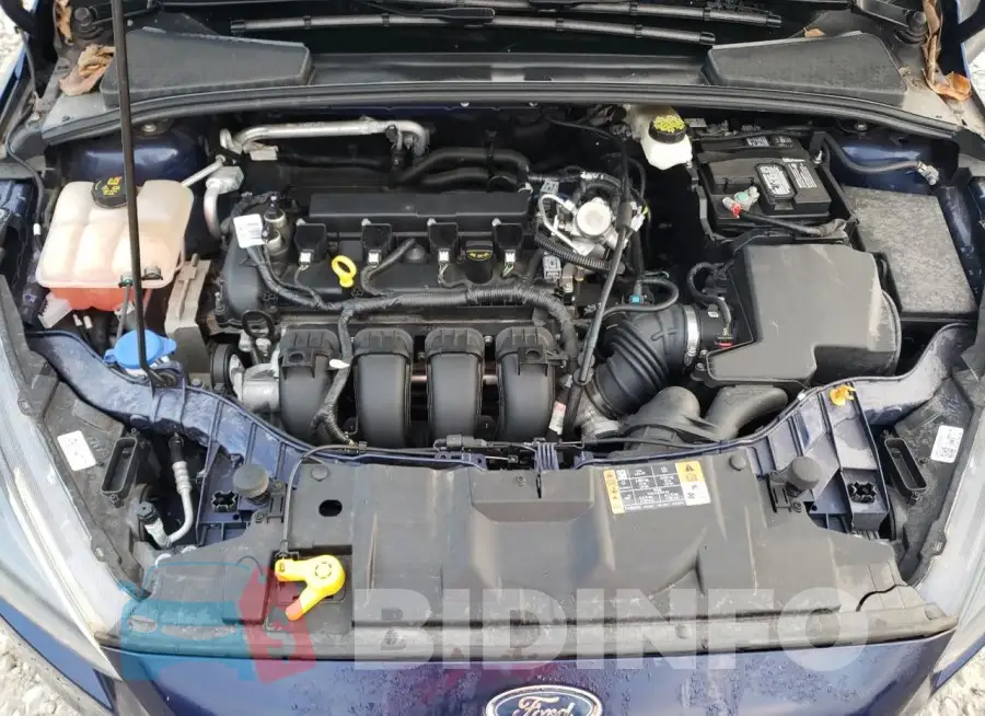 1FADP3M20HL313172 Photo# 11