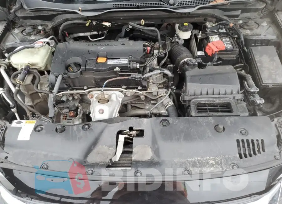 19XFC2F50HE218202 Photo# 11