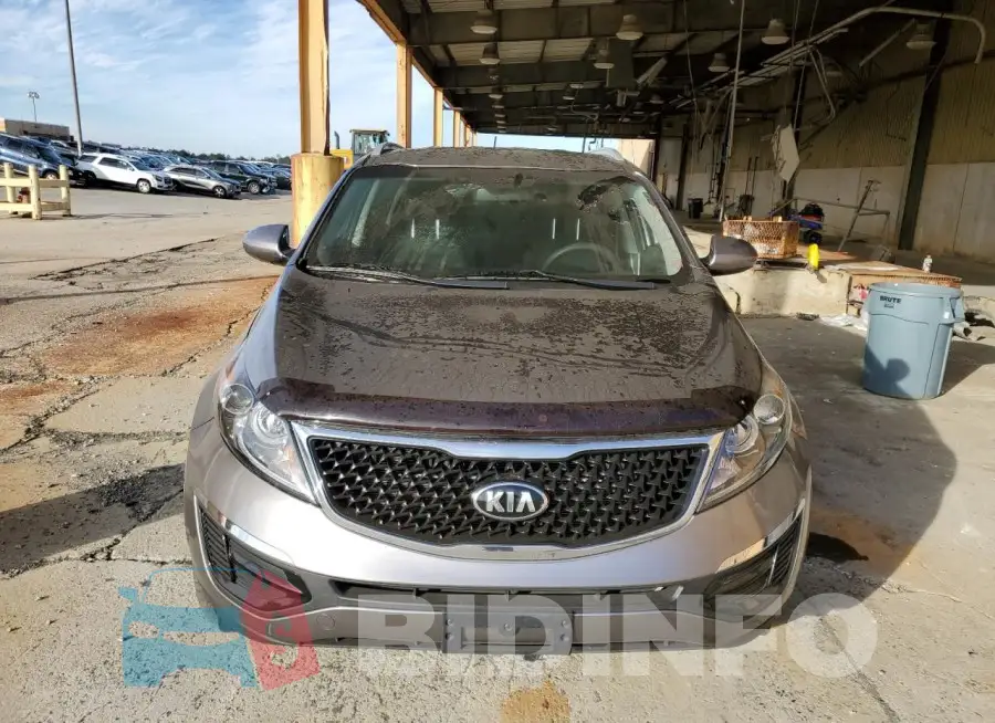 KNDPB3AC6G7828610 Photo# 5