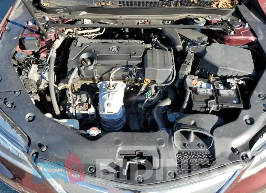 19UUB1F58FA020568 Photo# 11