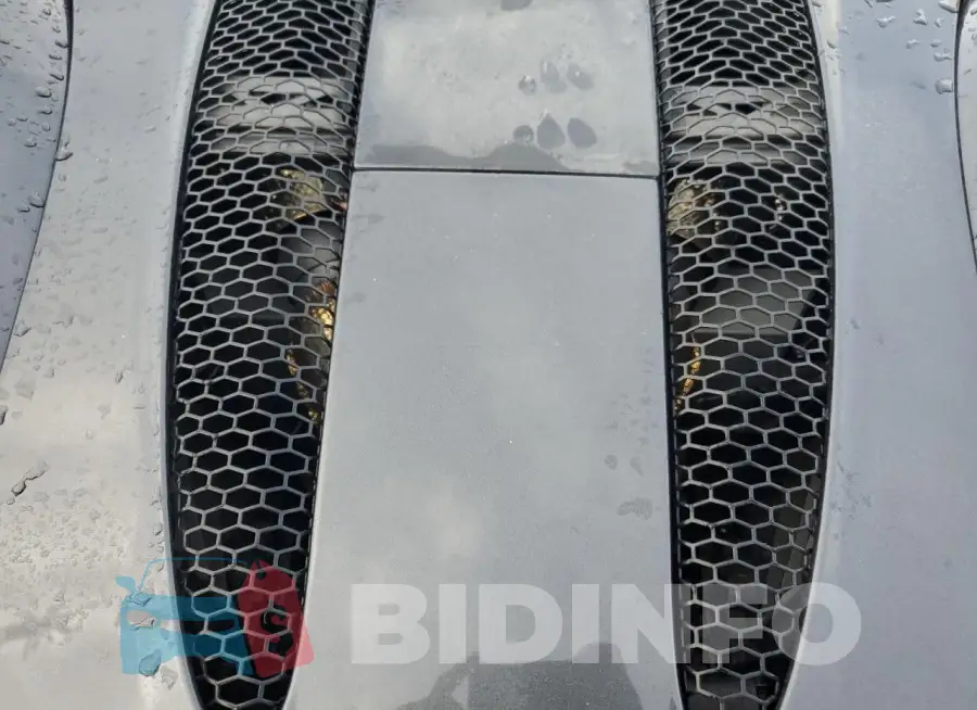 SBM13FAA6KW005653 Photo# 11