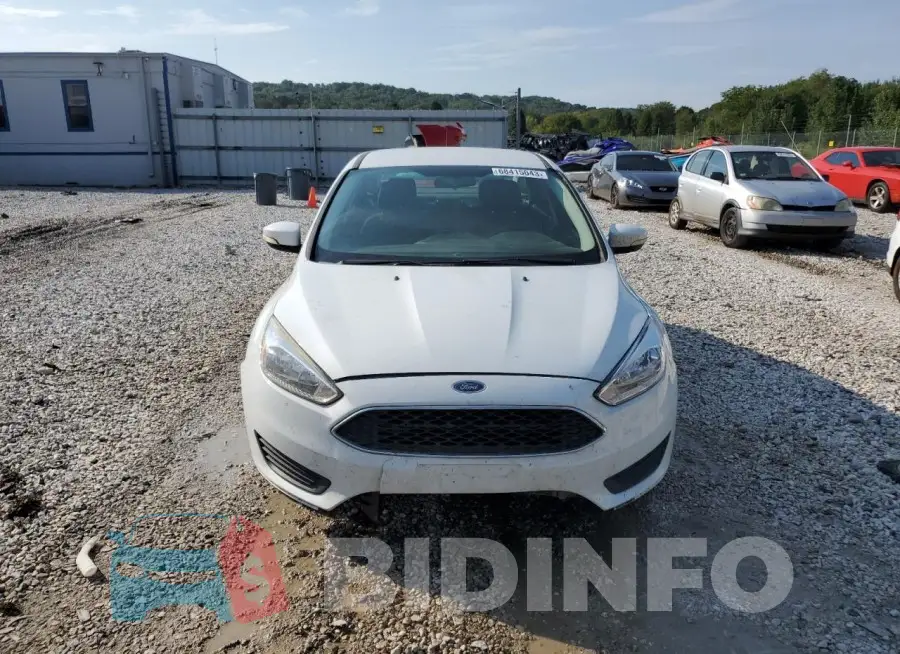 1FADP3F22GL217667 Photo# 5