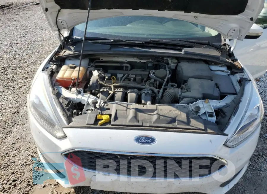 1FADP3F22GL217667 Photo# 11