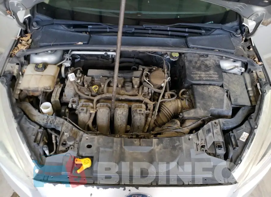 1FADP3F29GL244963 Photo# 11