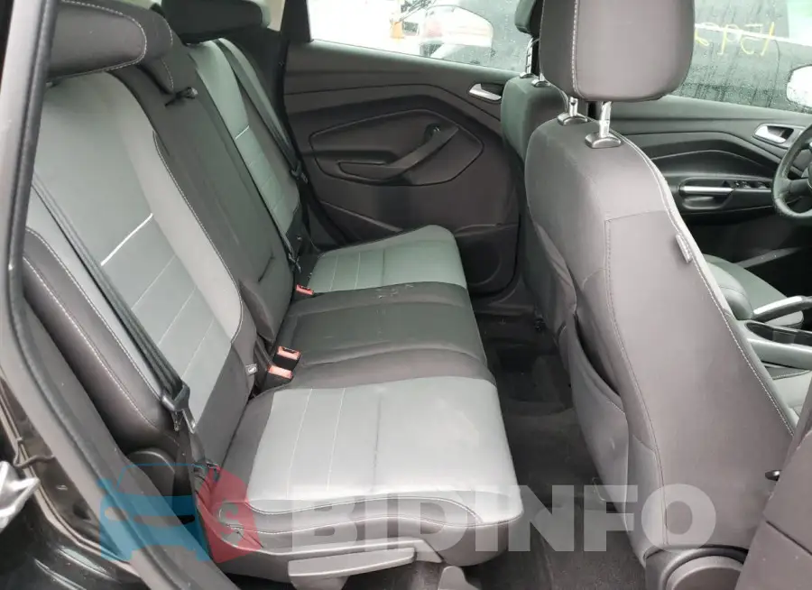 1FADP5AU3FL117970 Photo# 10