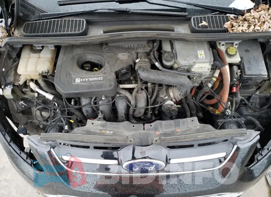 1FADP5AU3FL117970 Photo# 11