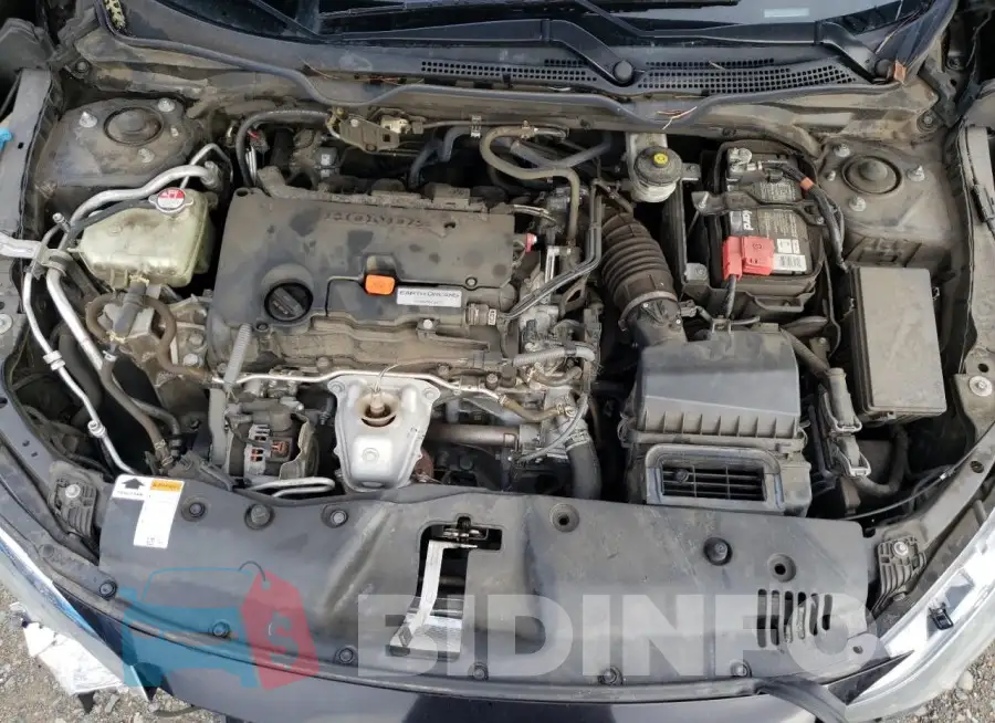 19XFC2F52GE250664 Photo# 11