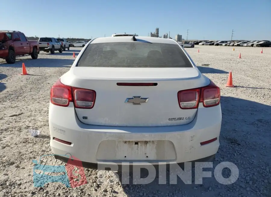 1G11B5SL5FF346787 Photo# 6