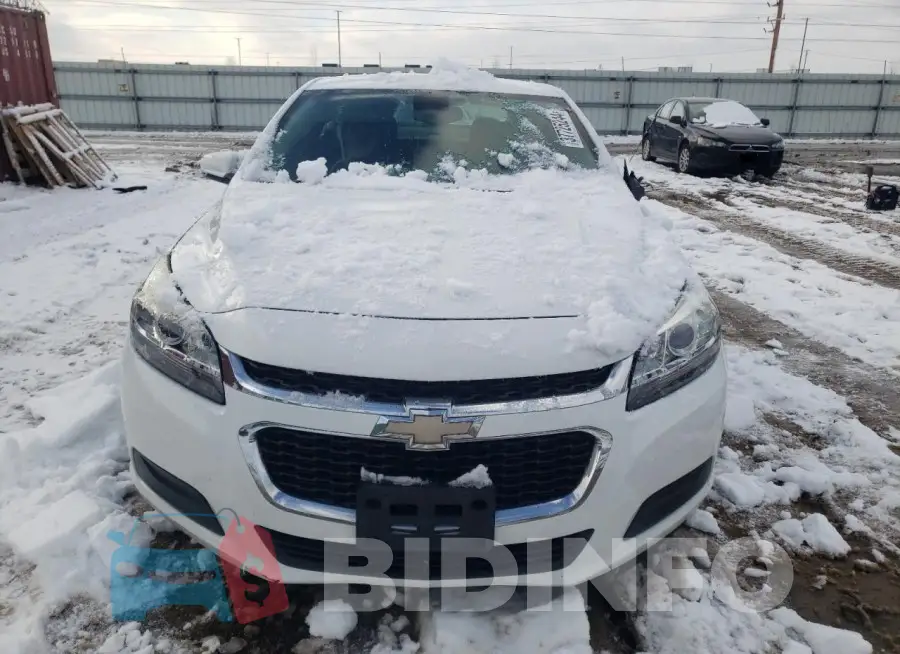 1G11C5SL8FF225068 Photo# 5
