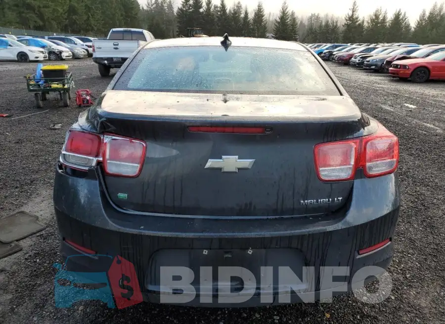 1G11D5SL2FF340763 Photo# 6
