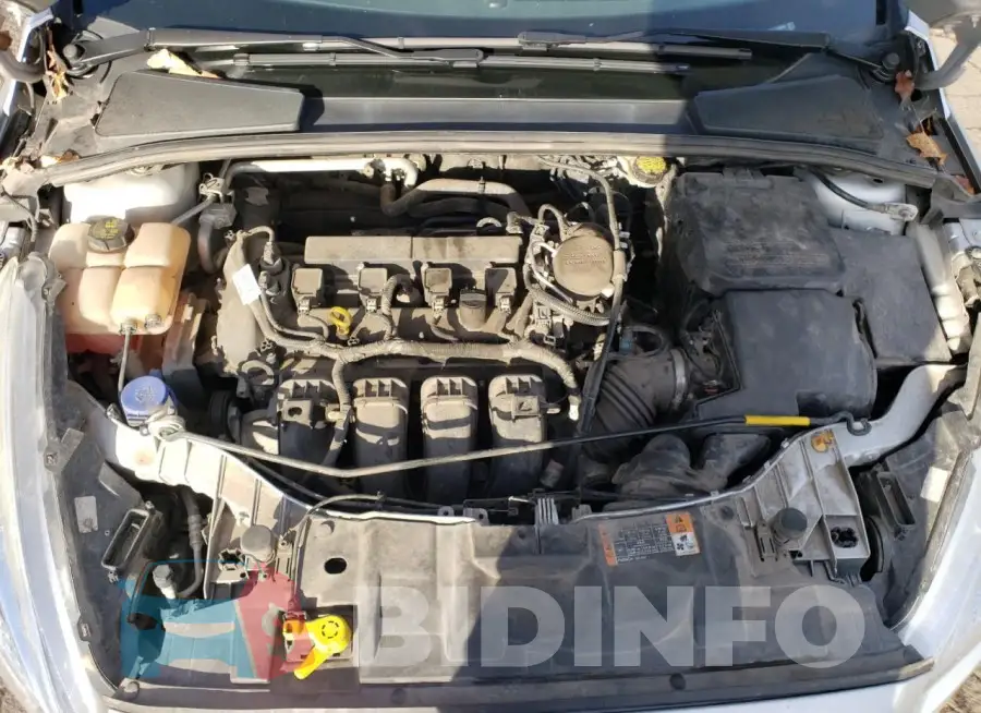 1FADP3F22GL225896 Photo# 11