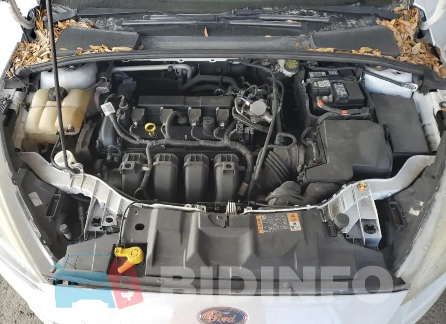 1FADP3F2XGL213592 Photo# 11