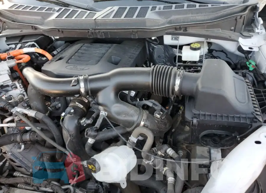 1FTFW1ED5MFC63159 Photo# 11