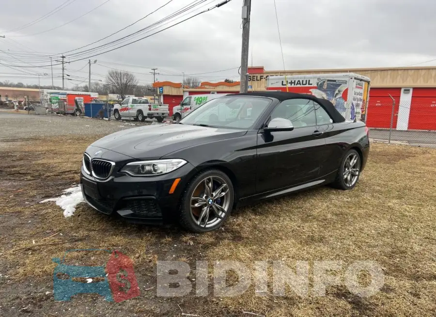 WBA1M5C55GV327484 Photo# 2