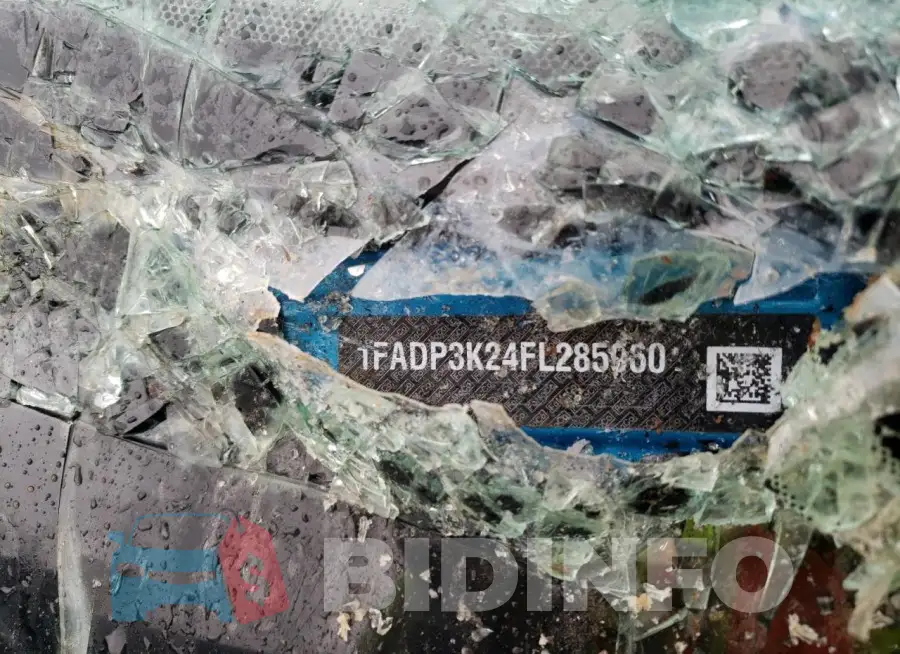 1FADP3K24FL285960 Photo# 12