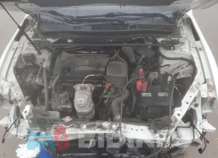 19UUB1F54FA022656 Photo# 11